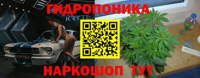 крисы Гай