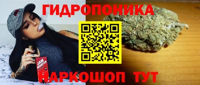 a pvp Гатчина