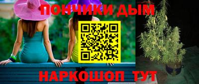 a pvp Гатчина