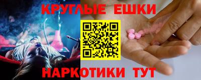 крисы Гай