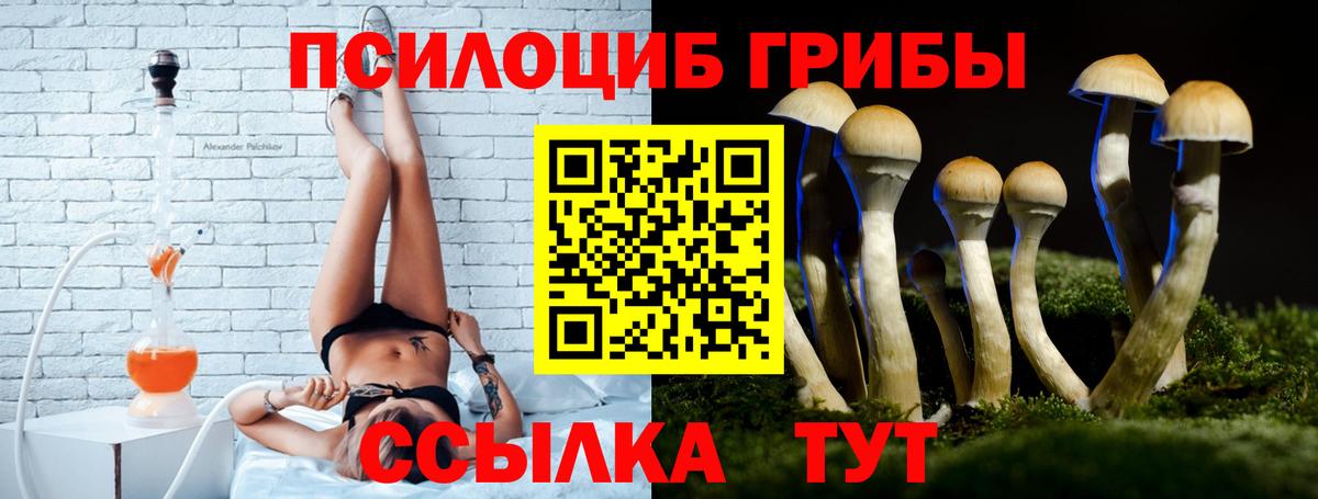 Галлюциногенные грибы Psilocybine cubensis  Вход с VPN  Псилоцибиновые грибы мицелий  магазин  наркотиков  Нижневартовск 