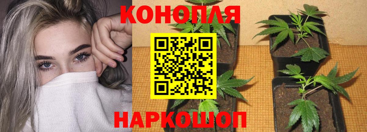 Конопля марихуана Нижневартовск
